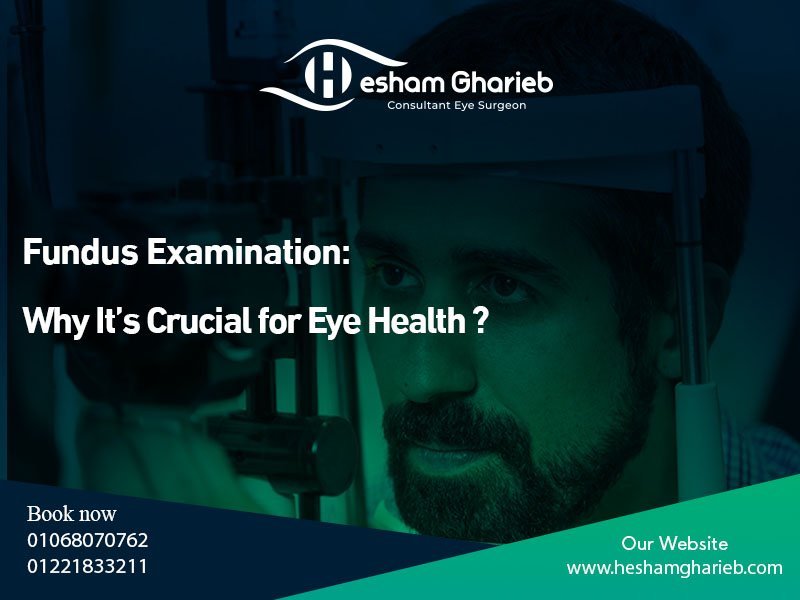 fundus examination